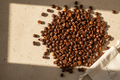 A premium flat-lay image of freshly roasted coffee beans on a textured surface. Minimalist composition, warm natural tones, high-end artisanal coffee brand aesthetic.